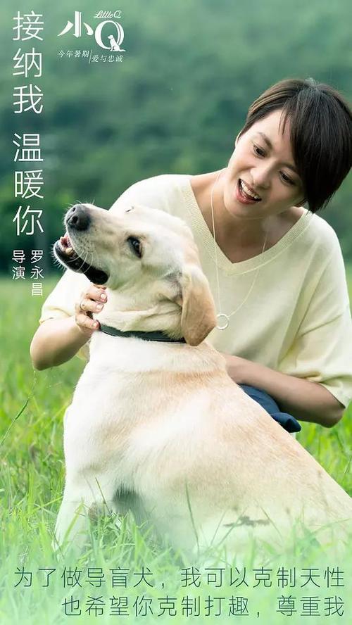 做个假芳邦大学文凭毕业证